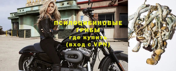 героин Алзамай