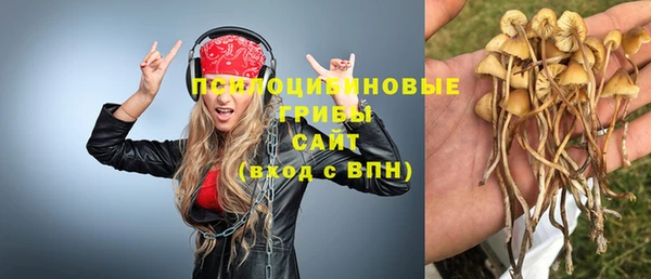 ешки Алексин