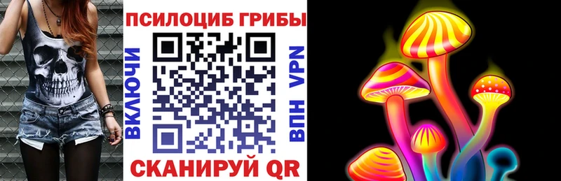 Галлюциногенные грибы Cubensis  купить наркотики сайты  Апатиты 