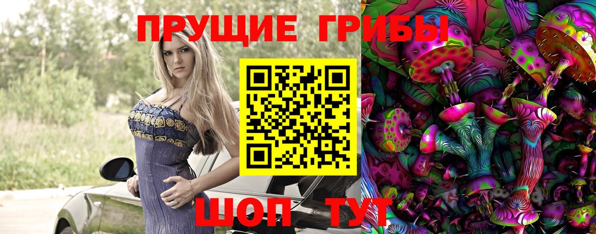 купить   Галлюциногенные грибы MAGIC MUSHROOMS  Галлюциногенные грибы Magic Shrooms  Вход с VPN  Апатиты 