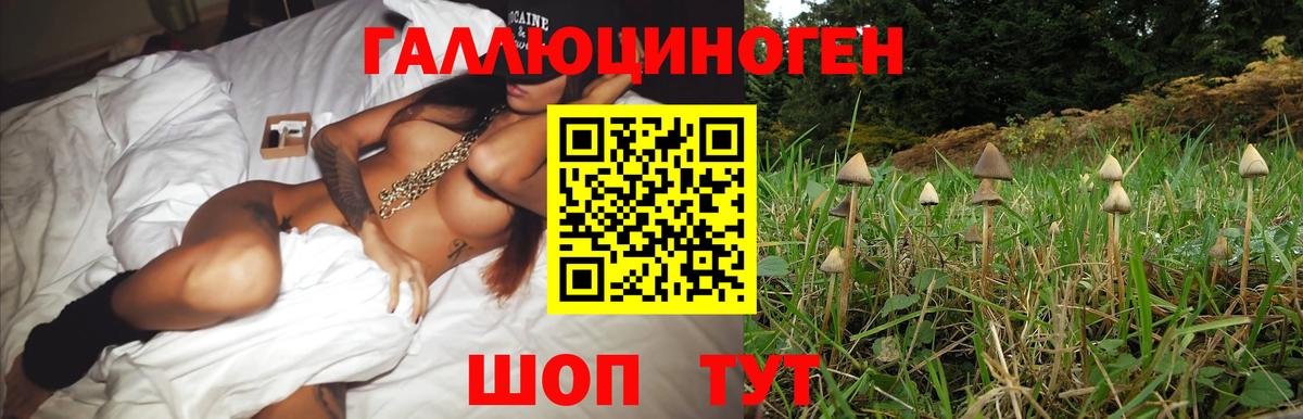 Галлюциногенные грибы GOLDEN TEACHER Апатиты